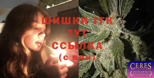 хмурый Вяземский