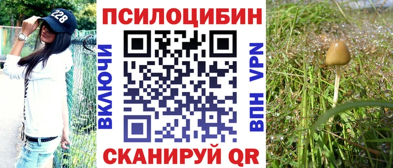Галлюциногенные грибы Psilocybe  KRAKEN ссылки  Чернушка  закладки 